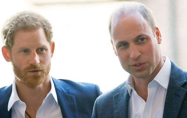 Prince William gave a mysterious comment about childhood with Prince Harry