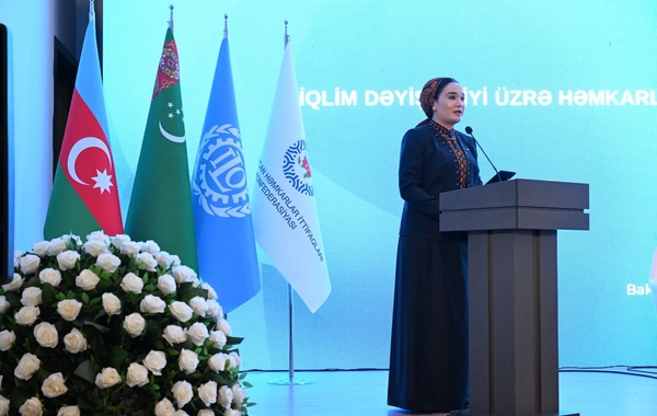 Bakıda "İqlim dəyişikliyi üzrə həmkarlar ittifaqlarının fəaliyyəti" mövzusunda konfrans keçirilib
