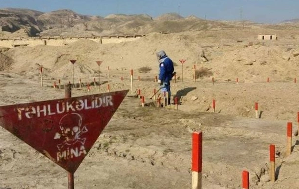 Ağdam, Füzuli və Xocavənd rayonlarının ümumi ərazisinin 30 faizi minalardan təmizlənib