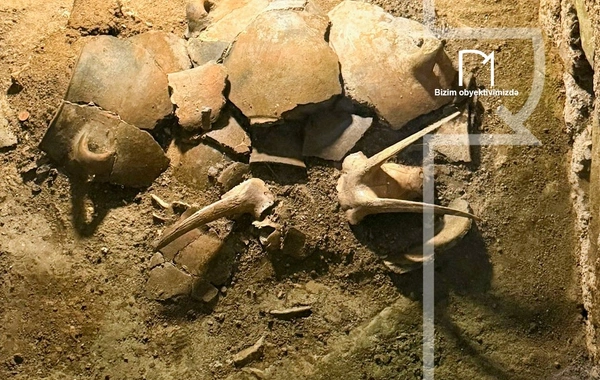 Şəkinin turizm xəzinəsi: Tarixi abidələrdən sənətkarlığa qədər