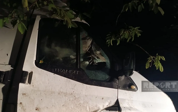 Tovuzda avtomobil işıq dirəyinə və ağaca çırpılıb, sürücü ölüb