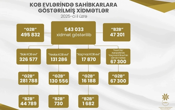 Ötən il KOB evlərində sahibkarlara 543 mindən çox xidmət göstərilib