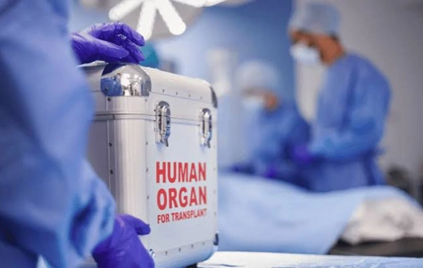 Azərbaycanda 1400-dən artıq şəxs orqan və toxuma transplantasiyası üçün növbə gözləyir - RƏSMİ