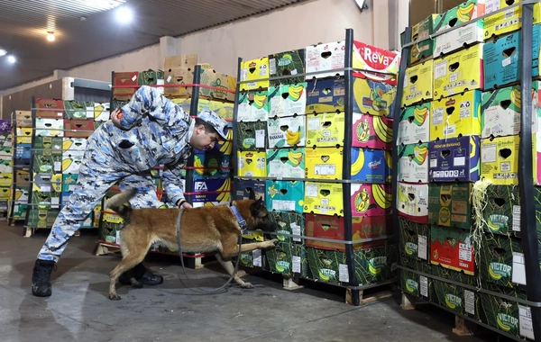 "Qarpız" yükü altında 31 kiloqramdan çox həşiş aşkarlanıb