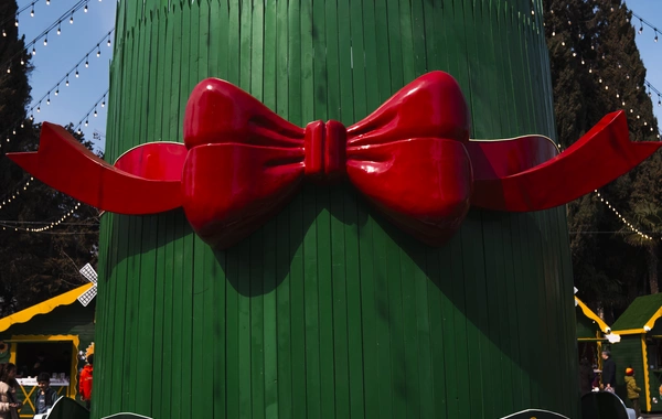 Yurdumuza bahar gəlir!