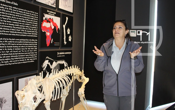 Palçıq Vulkanları Turizm Kompleksi – Azərbaycanın təbiət möcüzələrinə açılan yeni qapı