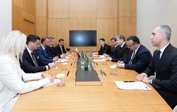 Azərbaycan və Slovakiya daxili işlər sahəsində əməkdaşlığa dair Anlaşma Memorandumu imzalayıb