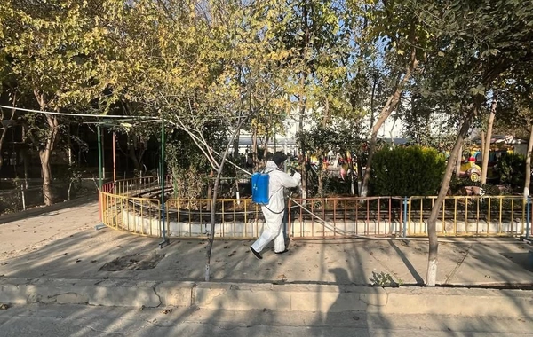 Restoranda qanunsuz saxlanılan heyvanlar xilas edilib