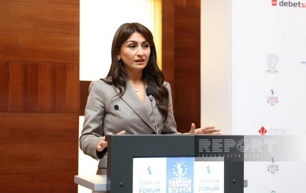 Samirə Musayeva: Azərbaycan Aİ-yə ixrac edəcəyi məhsullara görə karbon vergisi ödəyəcək