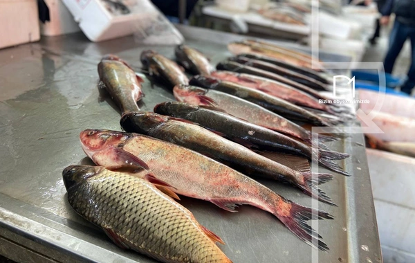 Ət əvəzinə hamı balıq alır - Bazarda SON QİYMƏTLƏR