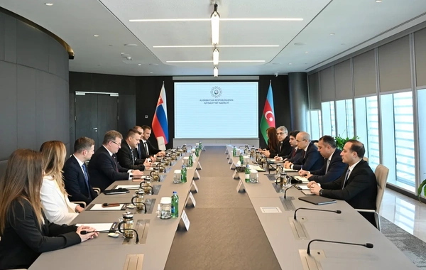 Azərbaycan və Slovakiya biznes əlaqələrinin gücləndirilməsini müzakirə edib