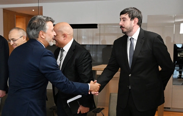 President Ilham Aliyev met with the chairman of the Brazilian company BTG Pactual in Davos