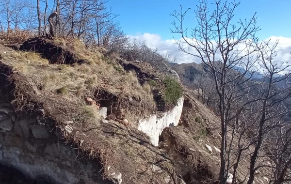 Arxeoloji abidədə qanunsuz qazıntı aparan şəxslər SAXLANILDI