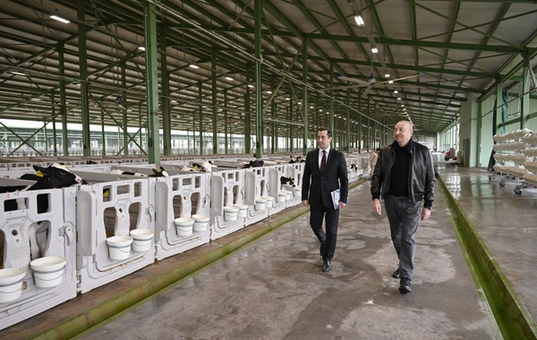 Prezident İlham Əliyev Şamaxıda "Şirvan Aqro" heyvandarlıq kompleksinin açılışında iştirak edib