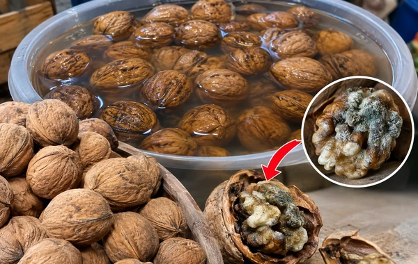 Suya salınmış qozda gizli təhlükə: Qəsdən batırırlarmış