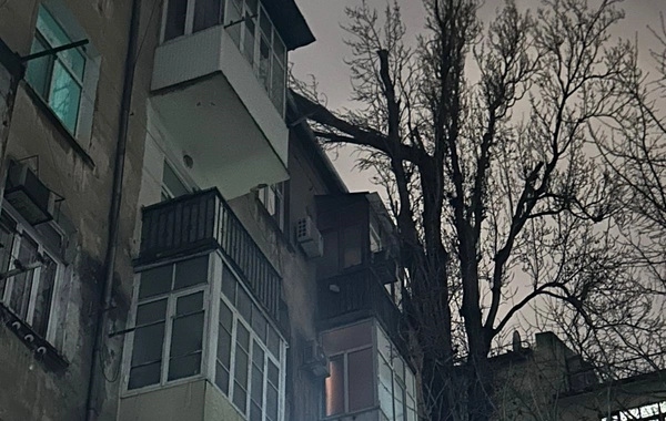 Bakıda ağac binanın üstünə aşdı