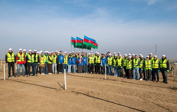 SOCAR Midstream ağacəkmə aksiyası keçirib