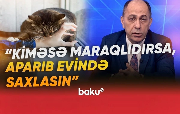 Dörd yaşlı uşağın quduzluğa yoluxması həyəcan yaratdı: Həkimdən ciddi XƏBƏRDARLIQ