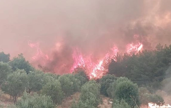 Türkiyədə ötən ay başlayan meşə yanğını davam edir