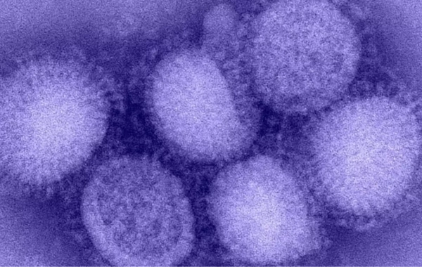 Bir çox ölkədə XƏBƏRDARLIQ! - Yeni H3N2 ştammı sürətlə yayılır