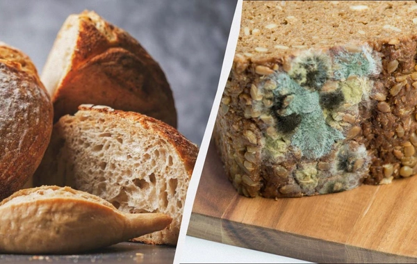 Почему хлеб плесневеет и можно ли срезать плесень и съесть остальное: советы врача
