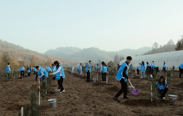 Leyla Əliyeva, Arzu Əliyeva və Alena Əliyeva Lənkəranda ekoloji aksiyalarda iştirak ediblər