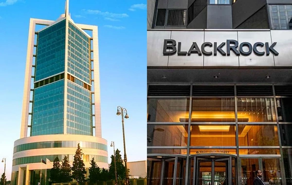 ARDNF-nin BlackRock fonduna investisiyaları 19 %-dən çox artıb