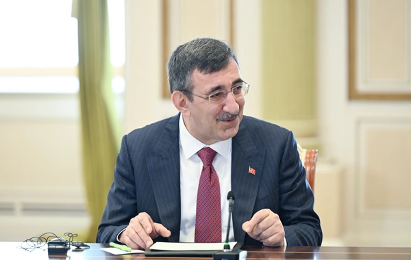 İlham Əliyev TDT-yə üzv dövlətlərin hökumət başçılarının görüşünün iştirakçılarını qəbul edib