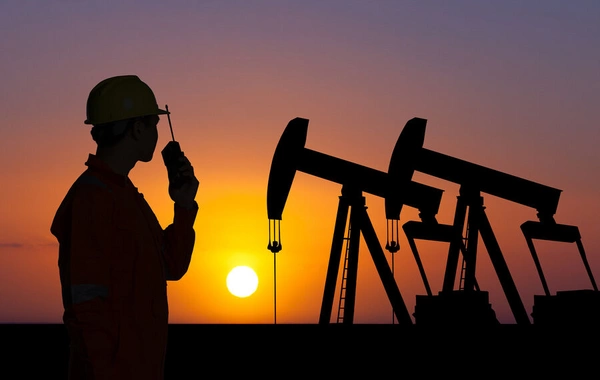 Neft qiymətlərinin kəskin artmasının dünya üçün nəticələri açıqlanıb