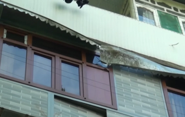 Mingəçevirdə güclü külək fəsad yaratdı - Aşan ağaclar mənzillərə ziyan vurdu