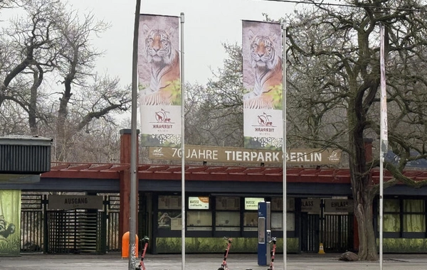 Almaniyadan Azərbaycana 18 zubr yola salınıb