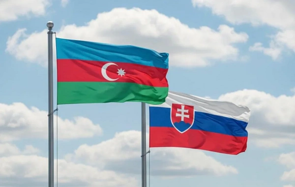Azərbaycan və Slovakiya arasında məxfi məlumatın mübadiləsi haqqında saziş təsdiqlənib