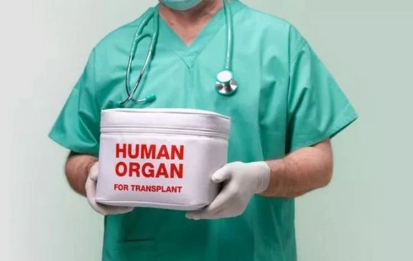 Azərbaycanda son bir ildə 11 meyitdən orqan köçürülməsi həyata keçirilib