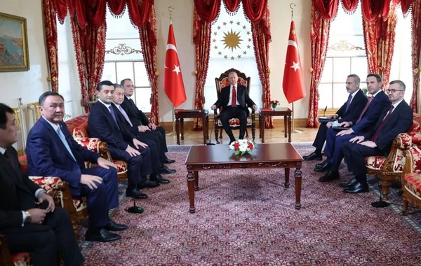 Ərdoğan TDT-yə üzv dövlətlərin xarici işlər nazirlərini qəbul edib