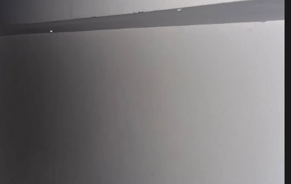 Safura Əlizadənin İstanbuldakı evini su basdı