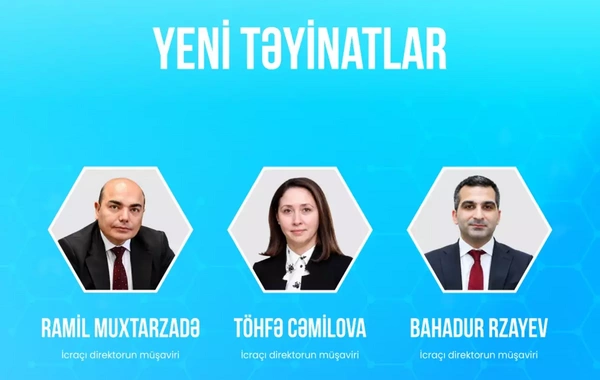 TƏBİB-in icraçı direktoruna yeni müşavirlər təyin olunub