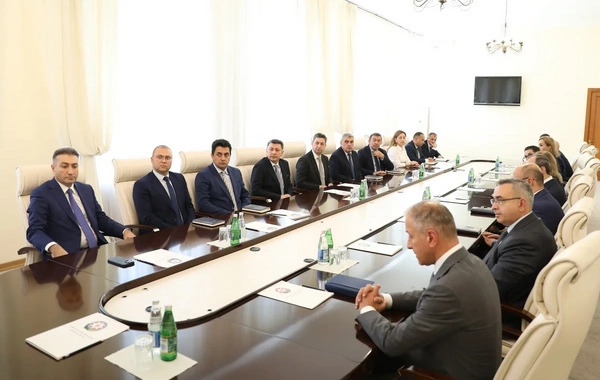 Анар Байрамов представлен коллективу Министерства здравоохранения