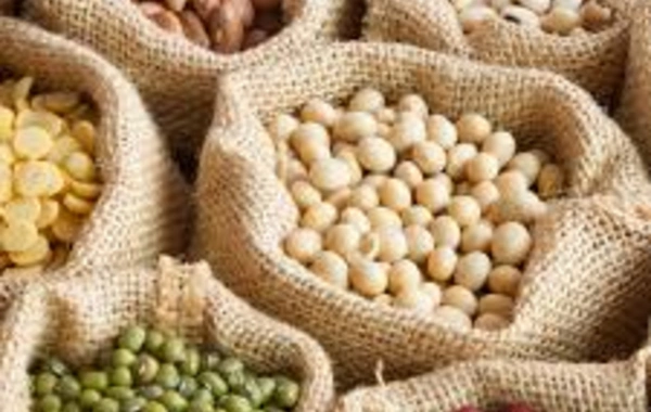 Назван продукт, который помогает долгожителям сохранять память