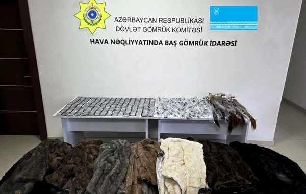 Azərbaycanda malların gömrük sərhədindən qanunsuz yolla keçirilməsinin qarşısı alınıb