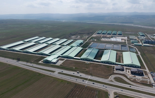 Prezident İlham Əliyev Şamaxıda "Şirvan Aqro" heyvandarlıq kompleksinin açılışında iştirak edib