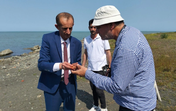 Xəzərin Lənkəran sahillərində Orta əsrlərə aid yaşayış məskəninin izlərinə rast gəlinib