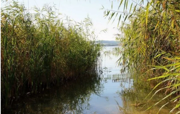 Qobustanda 9 yaşlı uşaq gölməçəyə düşərək ölüb