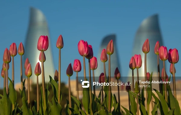 Bakıda 16 dərəcə isti olacaq