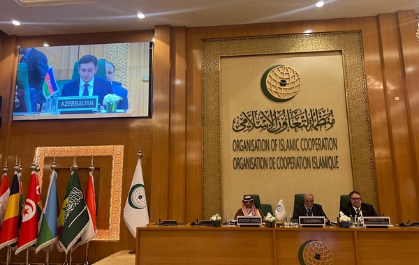 Xarici işlər nazirinin müavini İƏT-in Somali ilə bağlı fövqəladə iclasında iştirak edib