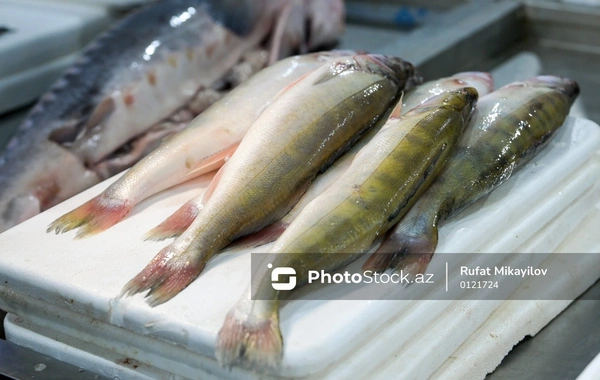 Ажиотаж на рыбном базаре: какие самые востребованные сорта рыбы?