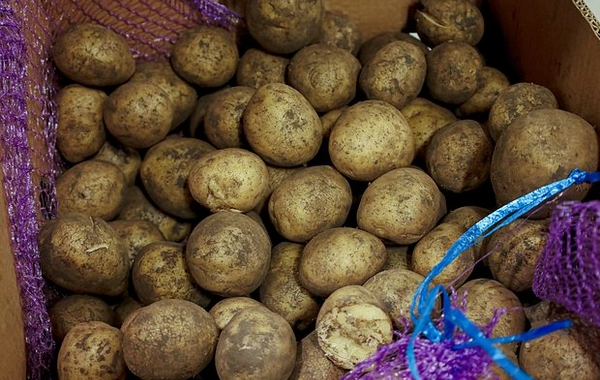 В европейском городе наступил "картофельный потоп"