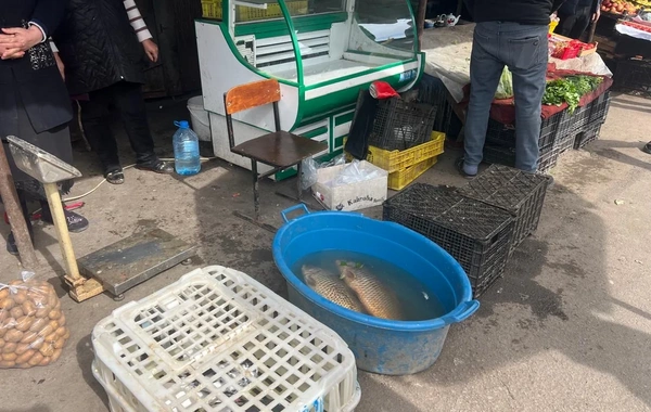 Tovuzda bazarda YOXLAMA - Ciddi nöqsanlar aşkarlandı