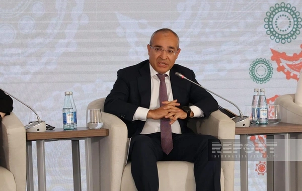 Mikayıl Cabbarov: Azərbaycan təkcə coğrafi deyil, digər sahələrdə də mərkəz rolunu oynayır