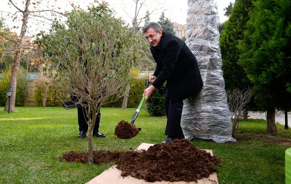 Cevdet Yılmaz Bakıda TÜRKPA Beynəlxalq Katibliyini ziyarət edib