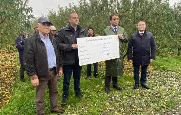 Azərbaycanda meyvə bağını şaxta vurması üzrə 712 min manat sığorta ödənişi edilib